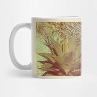 Vintage Agave Mug